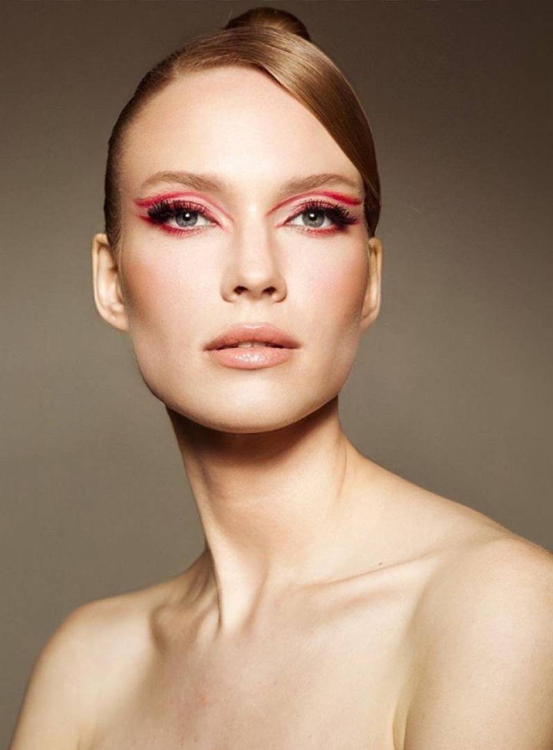 Vlada